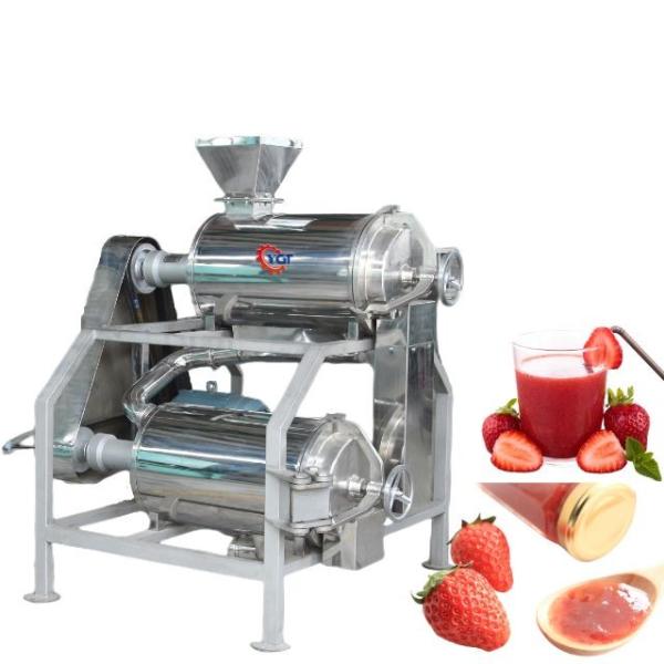 Complete Customized Strawberry Processing Line Blueberry/Strawberry/Raspberry
