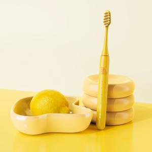 China Waterproof Electric Toothbrush with Replaceable Brush Heads Professional Oral Care with 2 Minute Timer factory