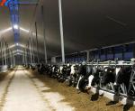 Easy Install Metal Cattle Shed Onsite Installation Steel Animal Husbandry