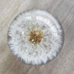 Custom clear epoxy real flower specimen acrylic dandelion paper weight