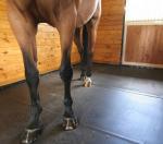 30mm Thickness Black Horse Stall Rubber Tiles Flooring For Hose Pathway