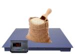 5T 50HZ Digital Industrial Floor Scales With Ramp