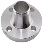 Class 900 Forged Pipe Flange Weld Neck Slip On DN15