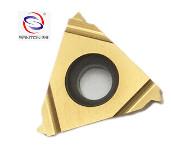 China Carbide Thread Cutting Inserts T11ERAG60 wear proof for various types of Buyers factory