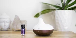 China Portable Mini Essential Oil Fragrance Scent Ultrasonic Air Humidifier factory