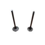 Auto Engine Intake And Exhaust Valves OE 0948G2 094999 For Peugeot 3008 308 408