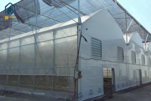 China Modern Multispan Greenhouse Flower Growing With Automatic Control System factory