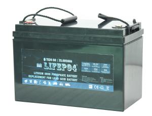 China Portable 24v 30ah Lifepo4 Battery Lifepo4 Lithium Ion Battery factory