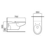 Wall Hung Disabled Ceramic Toilet Set For Public And Private Restrooms