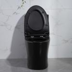 Elongated Bowl Dual Flush One Piece Toilet With Round Bowl 1.28 GPF/4.8LPF