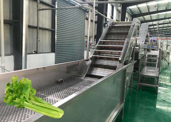 Stable Celery Food Processing Equipment Carrot Processing Line Food Grade