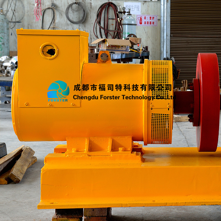 Electric 100m Micro Hydro Turbine Generator For Power Plants