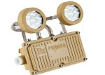5W LED Industrial Emergency Light Energy Saving Dual Lite Emergency Light