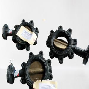 China Seatrax Bearing Bush Tf8004-1 factory