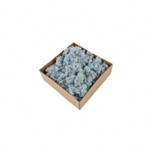 Stabilized Valentine Gift Preserved Natural Moss In Box