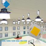4046 SERIES COB LED Chips 45W-55W 80W-110W 2700-6500K 110LM/W 2300-3200mA for