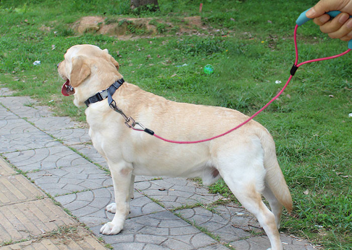 Rust Resistant Pet Tie Out Cable , Safety Long Dog Tie Down Cable Vinyl Coated