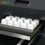 Multi Color Digital Inkjet Printing Machine For Flatbed Products