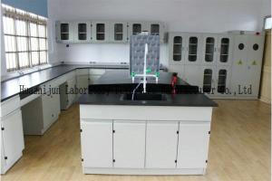 China Chemical Resistant Chemistry Lab Furniture C / H Frame Cold - Rolled Steel Body factory