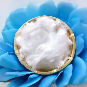China 51MM Polyester Staple Fiber For Manufacturing Infrastructure Performance factory