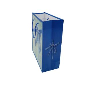 China Offset Printing Coated Paper Bags With Handles For Gift &amp; Shopping factory