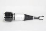 Airmatic X Type Jaguar Shock Absorber Strut Xj8 Xjr Rear C2c41343