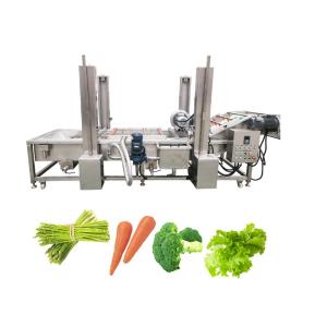 China 380v/220v/Customizable Cassava Bubble Washing Machine for Washing Fruit Vegetable factory