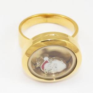 China 316L Stainless Steel Floating Charm Memory Living Locket Ring TGLR011 factory