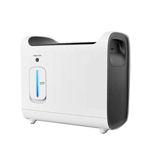 China Medical Generator Portable Price Concentrator Oxygen factory