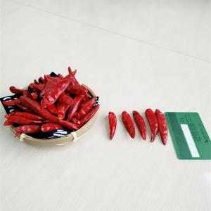 China Get Red Chilli Pepper Ring Optimal Size 0.5-1.5cm B2B Buyers Top Choice factory