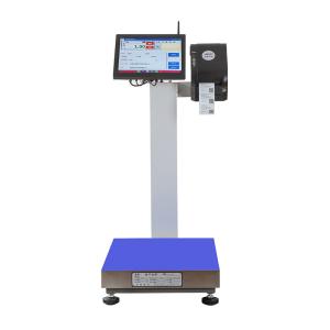 China 15 Inch LCD Display 15-500kg Seafood Processing Dock Android Print Label Scale -10-40C factory