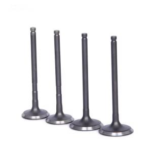 China Electrical Inlet And Exhaust Valve 1371171010 For Toyota 1Y 2Y 1371571010 factory