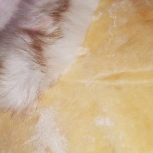 China Sculptured Chair Genuine Sheepskin Cushion Pads Carpets Special Shaped factory