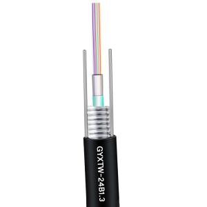 China Singlemode GYXTW 12core Armoured Fiber Optic Cable G652D factory