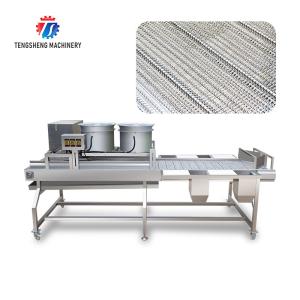 China Industrial Cassava Tomato Vegetable Processing Machine Drying And Selection factory