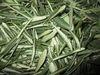 Olive Leaf Extract Oleuropein 10%-40% HPLC high quality, Hydroxytyrosol 25%,40%,