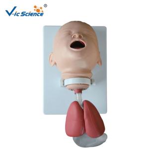China Infant Intubation Pvc Doctors Medical Training Manikins Model factory
