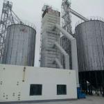 Low Broken Rate Advantage Rice Dryer Machine for 100-500 TPD Continuous Corn