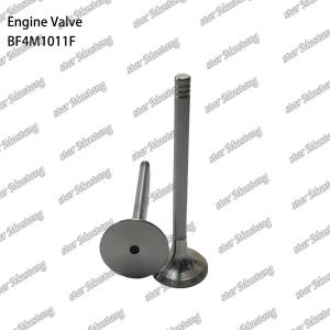 China BF4M1011F Engine Piston Valve For Deutz Engine Spare Parts factory