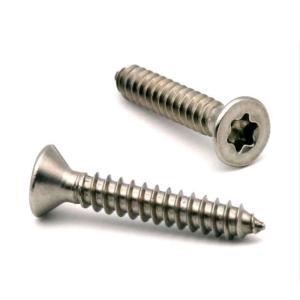 China Torx Tamper Flat Head Self Tapping Screws Stainless Steel A2 304 SS Passivated factory