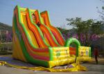 Giant Double Lane Inflatable Dry Slide Colorful Cartoon Printing For Amusement