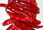 20000SHU Dried Chinese Chilis Vacuume Packing Spicy Chaotian / Tianjin Chilli
