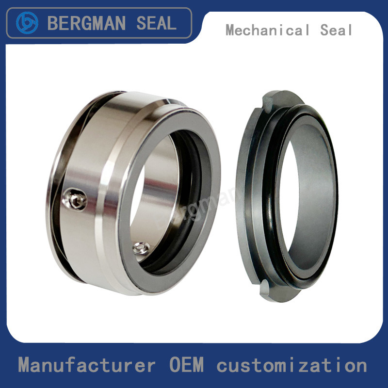 Bergman OEM W01 W02 W03 Rotor pump Sanitary Pumps Food Pumps Seals Mechanical Seal