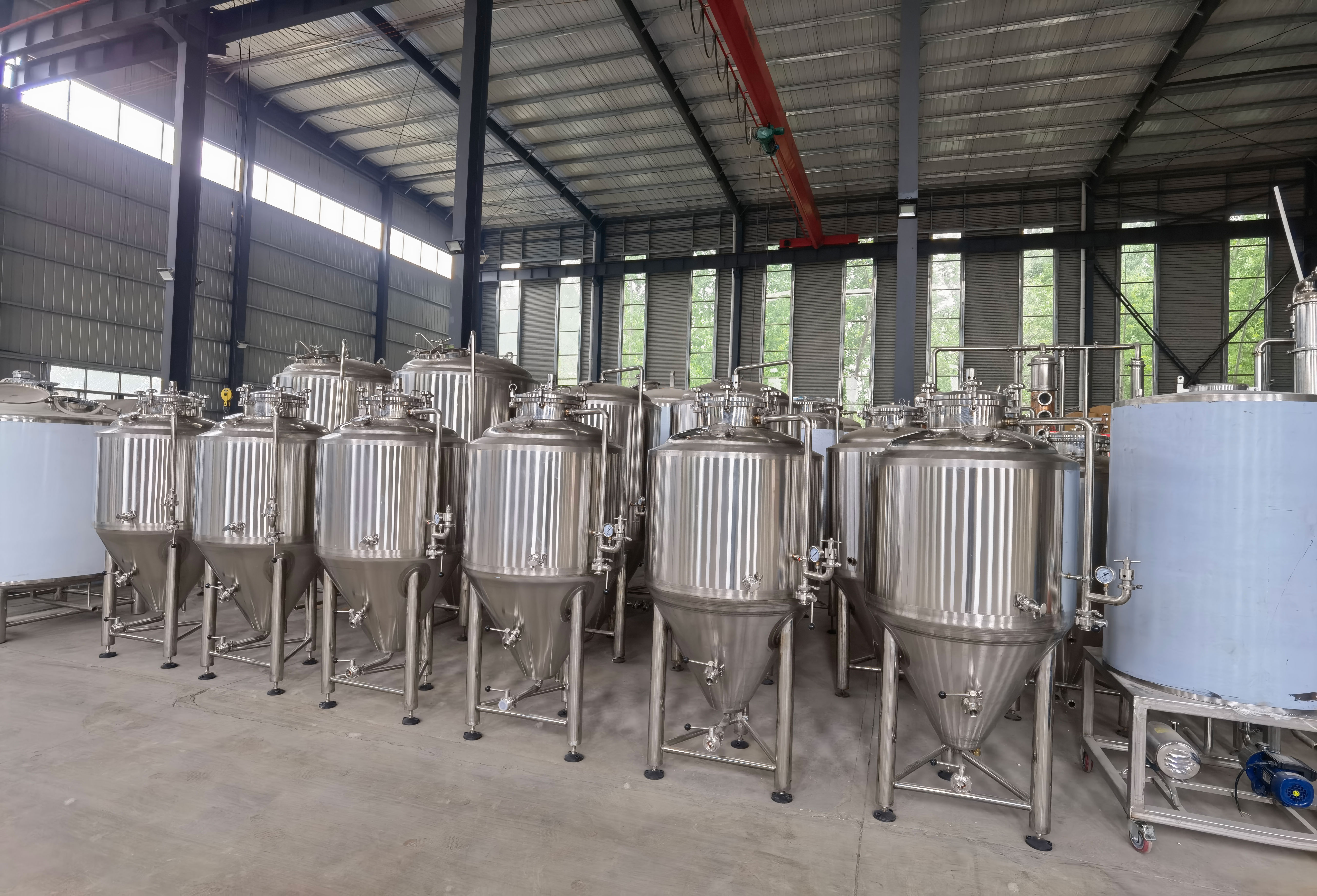 Customized Capacity GHO Draft 600l Brewery for Home Beer Equipment