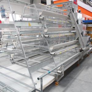 China Full Automatic A Type Layer Chicken Cage factory