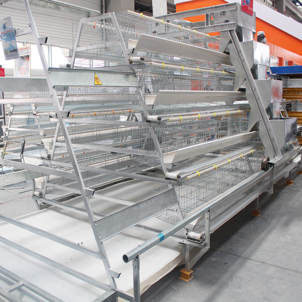 A Type Layer Chicken Cage Installation Provide