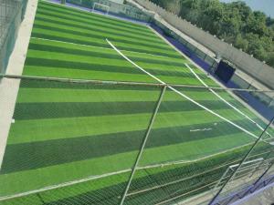 China AVG Turf 50mm Football Artificial Grass lawn For Soccer Fields factory