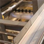 6 tier 192 Birds / Set Automatic Battery Cage System Layer Chicken