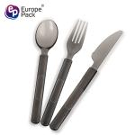 Eco-Friendly Dessert Plastic Knife Fork Spoon Ps Plastic Disposable Cutlery