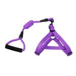 Pet Explosion Proof Leash Reflective Dog Nylon Leash Medium And Large Dogs
